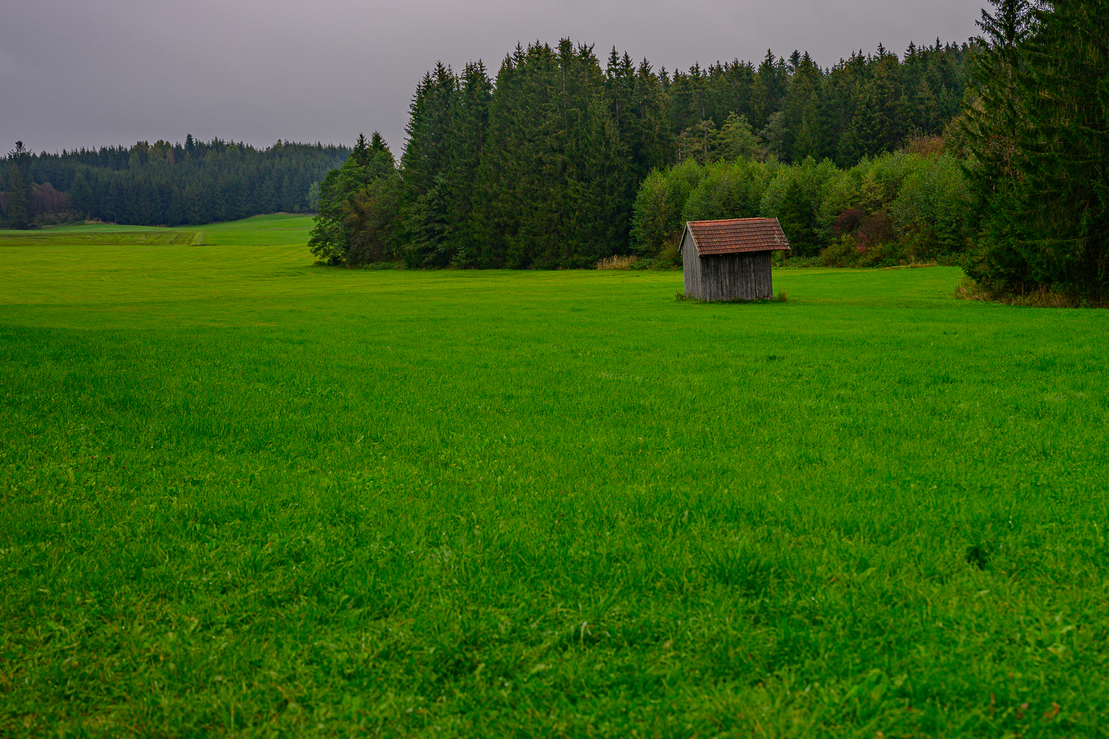 Bild: 184 / 184