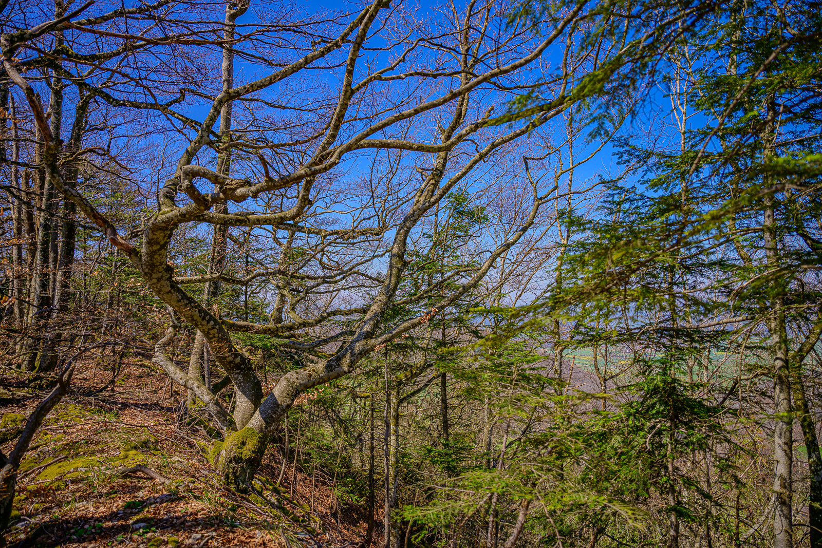 Bild: 027 / 143